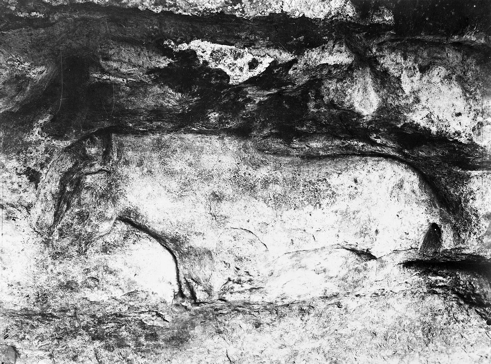 Cap Blanc Rock Shelter